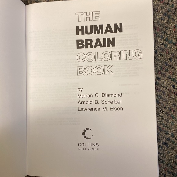 Human Brain Coloring book - like new! Neuroanatomy anatomy resource - Picture 5 of 5